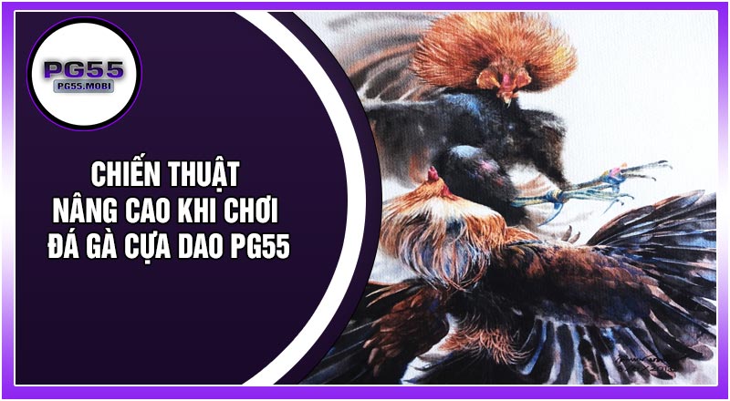Chiến Thuật Nâng Cao Khi Chơi Đá Gà Cựa Dao PG55