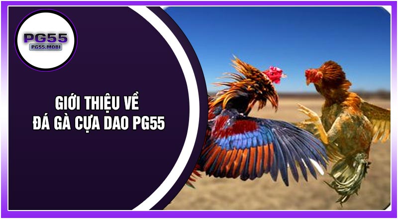 Giới Thiệu Về Đá Gà Cựa Dao PG55
