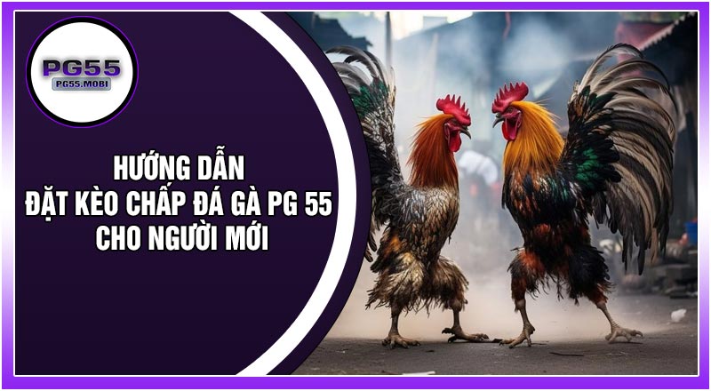 Hướng Dẫn Đặt Kèo Chấp Đá Gà PG 55 Cho Người Mới