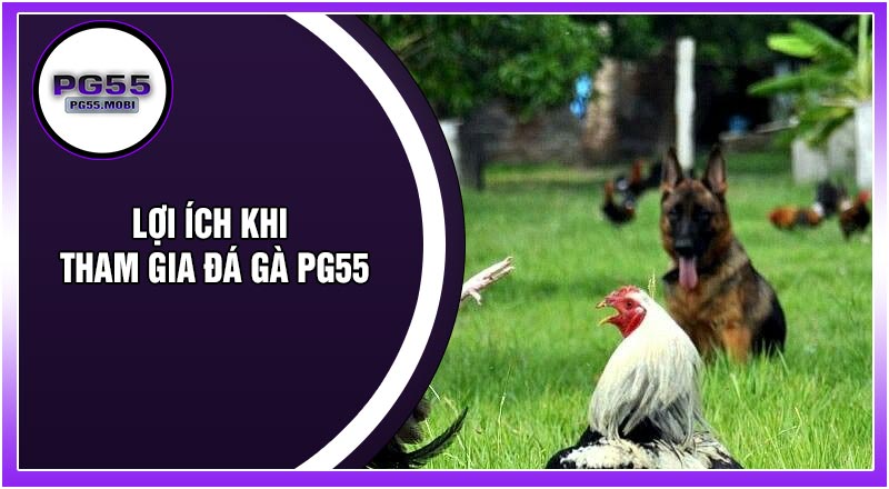 Lợi Ích Khi Tham Gia Đá Gà PG55