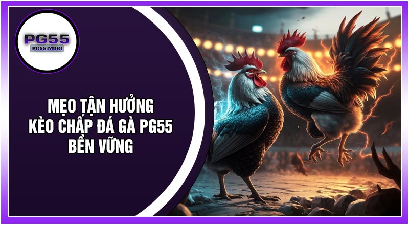 Mẹo Tận Hưởng Kèo Chấp Đá Gà PG55 Bền Vững